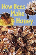 How Bees Make Honey