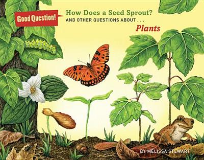 How Does a Seed Sprout?: And Other Questions about Plants - Stewart, Melissa