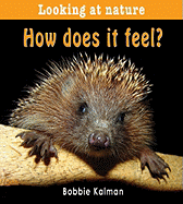 How Does It Feel? - Kalman, Bobbie