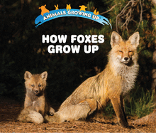 How Foxes Grow Up