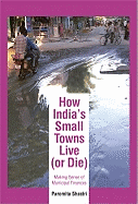 How India's Small Towns Live (Or Die): Making Sense of Municipal Finances