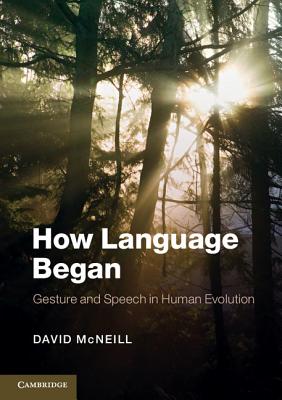 How Language Began: Gesture and Speech in Human Evolution - McNeill, David