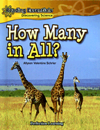 How Many in All?