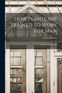 How Plants Are Trained To Work For Man: Grafting And Budding