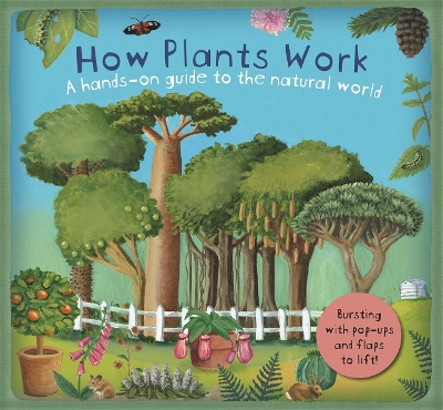 How Plants Work - Dorion, Christiane