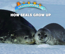 How Seals Grow Up