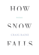 How Snow Falls