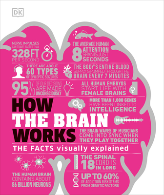 How the Brain Works: The Facts Visually Explained - DK