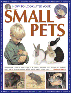 How to Look After Your Small Pets: An Owner's Guide to Caring for Rabbits, Guinea Pigs, Hamsters, Gerbils and Jirds, Chinchillas, Rats, Mice and Other Rodents
