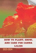 How to Plant, Grow, and Care for Canna Lilies: Become flowers expert