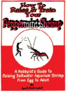 How to Raise and Train Your Peppermint Shrimp: A Hobbyist's Guide to Raising Saltwater Aquarium Shrimp from Egg to Adult