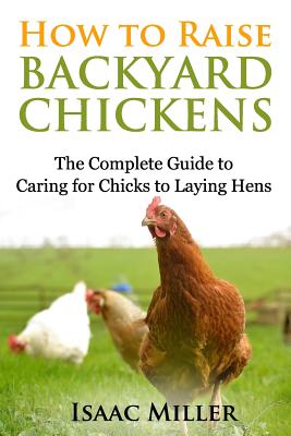 How To Raise Backyard Chickens: The Complete Guide to Caring for Chicks to Laying Hens - Miller, Isaac