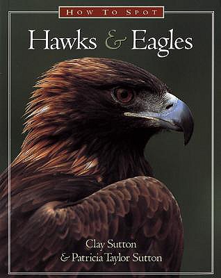 How to Spot Hawks and Eagles - Sutton, Clay, and Estabrook, Barry (Editor), and Connor, Jack (Adapted by)