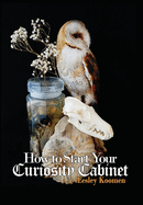 How to Start Your Curiosity Cabinet