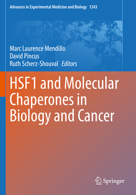 Hsf1 and Molecular Chaperones in Biology and Cancer - Mendillo, Marc Laurence (Editor), and Pincus, David (Editor), and Scherz-Shouval, Ruth (Editor)