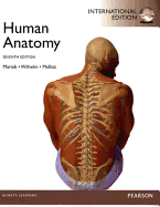 Human Anatomy: International Edition