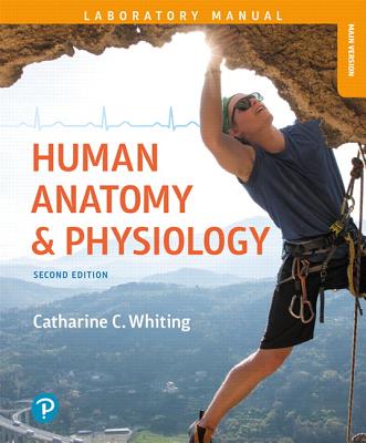 Human Anatomy & Physiology Laboratory Manual: Making Connections, Main Version - Whiting, Catharine