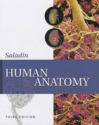 Human Anatomy - Longenbaker, Susannah, and Saladin, Kenneth S