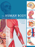 Human Body Identification Manual: Your Body and How It Works