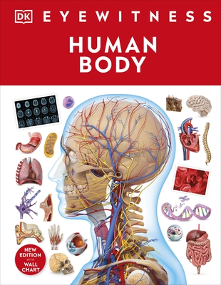 Human Body - DK