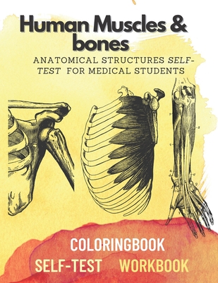 Human muscles & bones: Anatomical structures self-test for medical students - Art, Damed