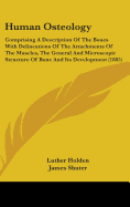 Human Osteology: Comprising A Description Of The Bones With Delineations Of The Attachments Of The Muscles, The General And Microscopic Structure Of Bone And Its Development (1885)