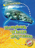 Humpback Whale Migration