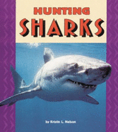 Hunting Sharks