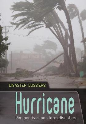 Hurricane: Perspectives on Storm Disasters - Langley, Andrew