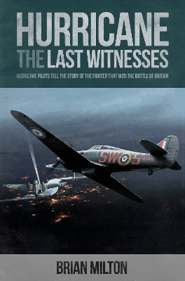 Hurricane: The Last Witnesses - Milton, Brian