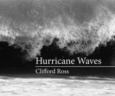 Hurricane Waves