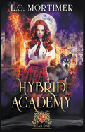 Hybrid Academy: Year One