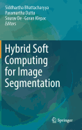 Hybrid Soft Computing for Image Segmentation