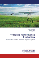 Hydraulic Performance Evaluation