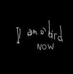 I Am a Bird Now