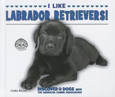 I Like Labrador Retrievers! - Bozzo, Linda