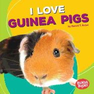 I Love Guinea Pigs