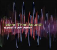 I Want That Sound - Ken Field/Revolutionary Snake Ensemble