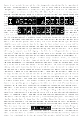 I Write Artist Statements - Sales, Liz, and Carson, Matthew (Contributions by)