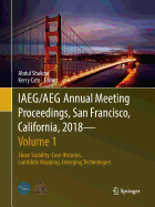 Iaeg/Aeg Annual Meeting Proceedings, San Francisco, California, 2018 - Volume 1: Slope Stability: Case Histories, Landslide Mapping, Emerging Technologies