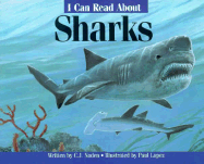 Icr Sharks - Pbk (Trade)