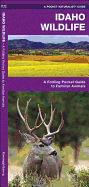 Idaho Wildlife: A Folding Pocket Guide to Familiar Animals