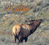 Idaho Wildlife Impressions