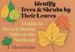 Identify Trees and Shrubs by Their Leaves