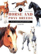 Identifying Horse & Pony Breeds - Ball, Caroline