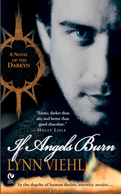 If Angels Burn: A Novel of the Darkyn - Viehl, Lynn