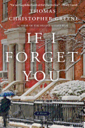 If I Forget You