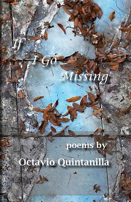 If I Go Missing - Quintanilla, Octavio