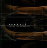 Ignoring the Guidelines - Raised Fist