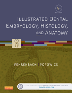 Illustrated Dental Embryology, Histology, and Anatomy - Fehrenbach, Margaret J, MS, and Popowics, Tracy
